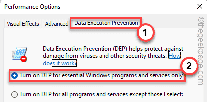 修复：Windows 11、10 中的 Application.exe 已停止工作问题