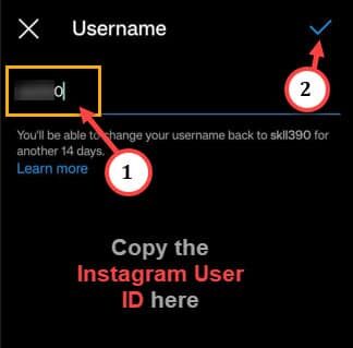 如何在 Android 上复制 Instagram URL 个人资料链接