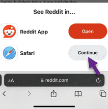 Reddit 视频无法在 iPhone 上播放：修复