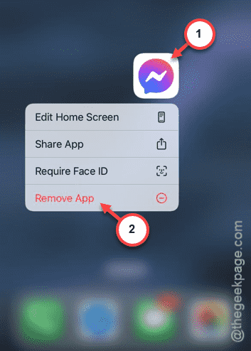 无法允许 iPhone 应用程序访问麦克风