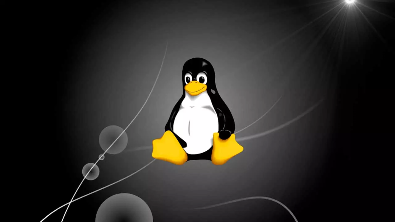 我们有新的 Linux：内核 6.13 的所有新功能