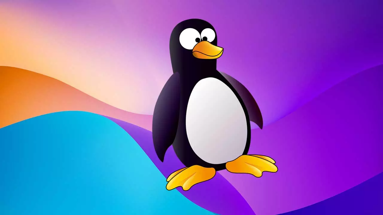 Linux 6.12 现已推出，它是最大、最重要的更新之一