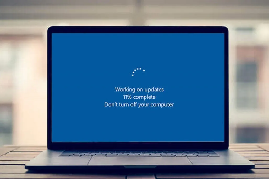修复Windows 11和10更新并解决问题