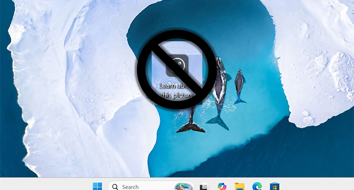 如何删除“了解有关此图片的更多信息”图标 Windows 11