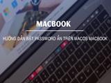 指示在MacOS MacBook上启用隐藏密码