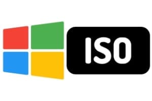 如何下载 Windows 11 ISO 文件（x64 或 ARM64）