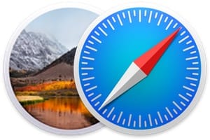 管理 Safari Mac 密码 (macOS/OSX)