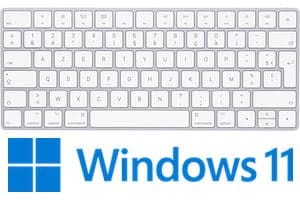 设置适用于 Windows 11 的 Apple 键盘